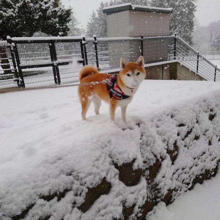 3eafdd34 9d9d 4921 b014 7494f367d002 1639971659189