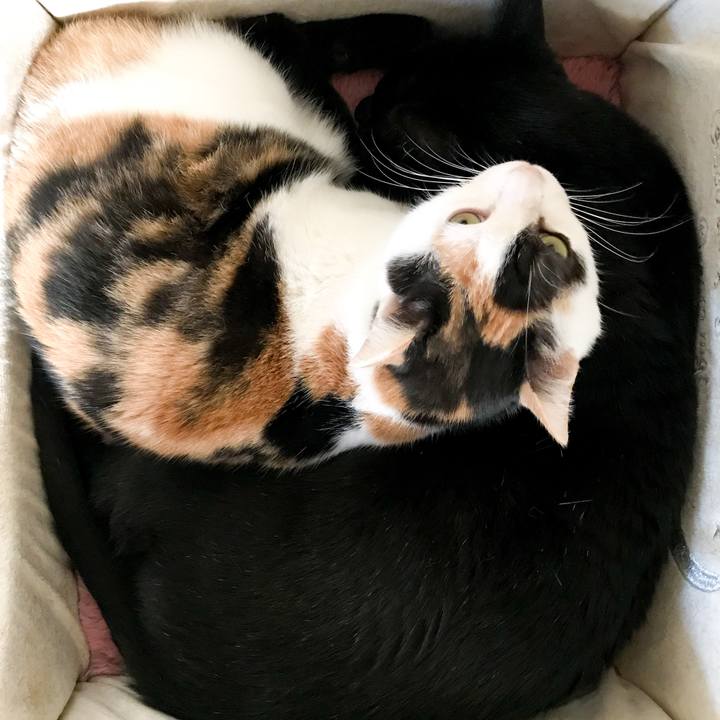 3eafe814 340a 4f10 af81 c4ebc961f654 1517582308191