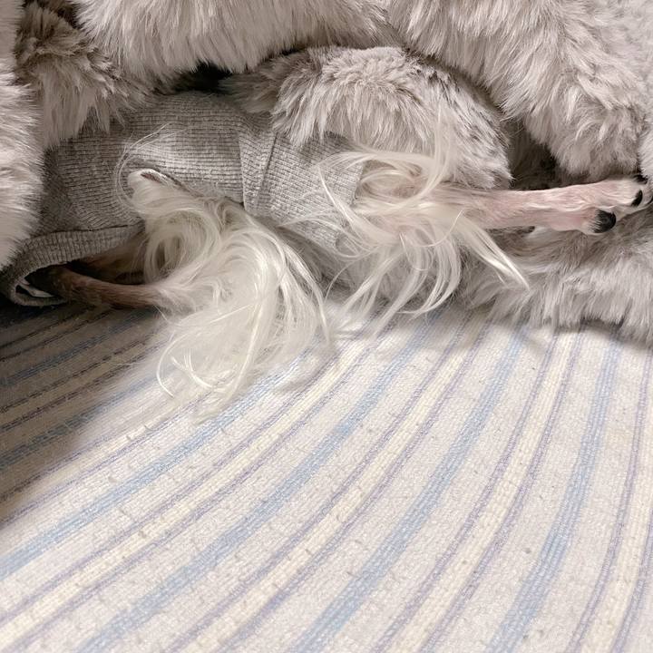 3eafe9f0 6556 4524 aa3e 2d6133532e7f 1759639985951