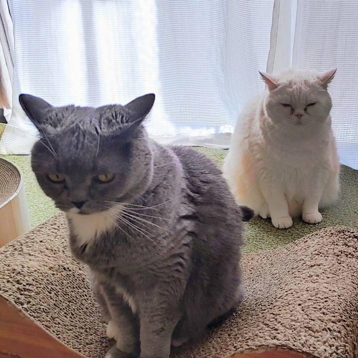 3eb01383 f64c 4923 ab3a 4a1b811149b4 1768700577840