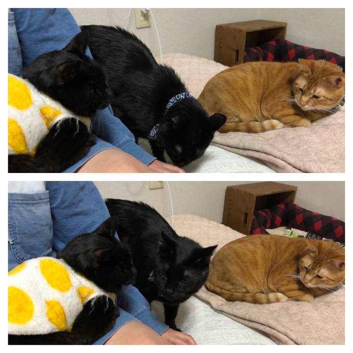 3eb01953 6e38 4f6c 8a78 1c50caa05000 1556377522441