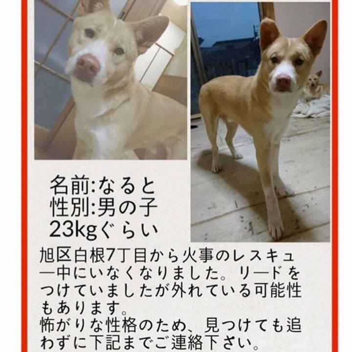 3eb04ff5 c45f 41a0 b0fb 689c3e1ec313 1550148377563