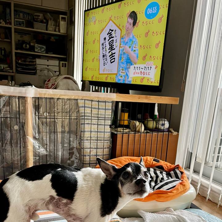 3eb08ff2 57b8 4603 83f4 5e6be48c8547 1657490704803