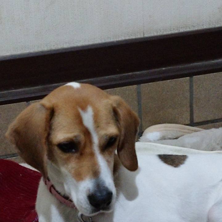 3eb09fb2 8aee 4963 974e 024daa832224 1576584243699