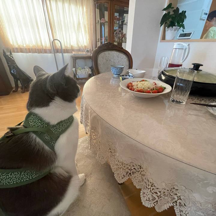 3eb0a06e 3397 4701 8635 71ab93b1ce6c 1626163787613