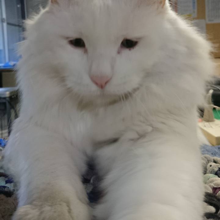 3eb0b2e2 4e3e 4ee8 9d80 2160ae89d3c1 1542320769289