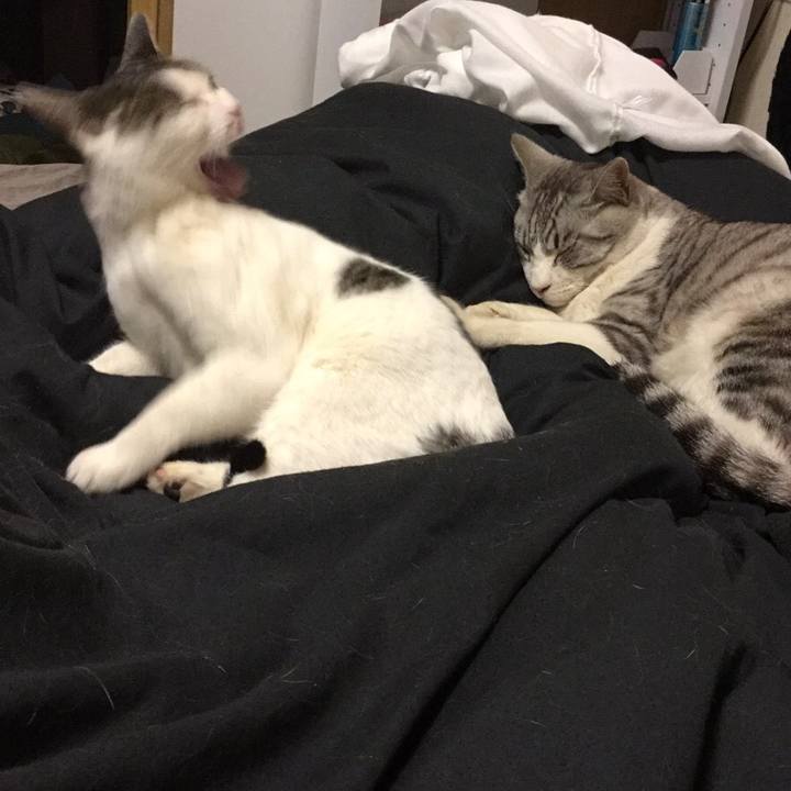 3eb14821 f931 4da4 b628 7530b45a0bee 1557237241150