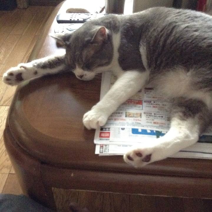 3eb1684e 2d3d 4f7b 8299 0ad09073bbd7 1531695969858