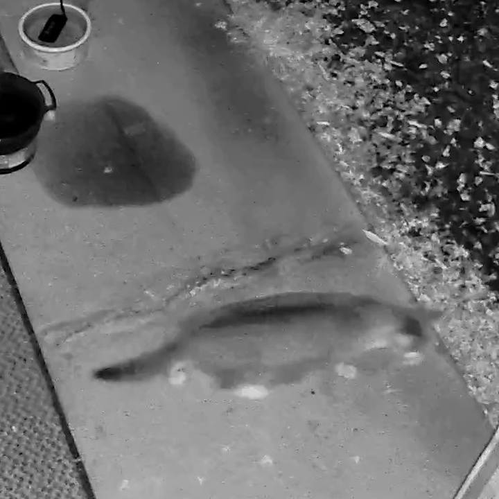 3eb17c20 2eb5 4d05 a3b2 88fbfdeb6a47 1767522301122