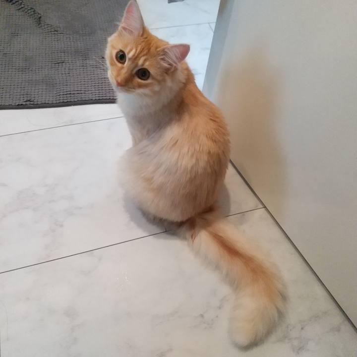 3eb193f2 4dd2 4017 8142 acfcfd8c0728 1620387658643