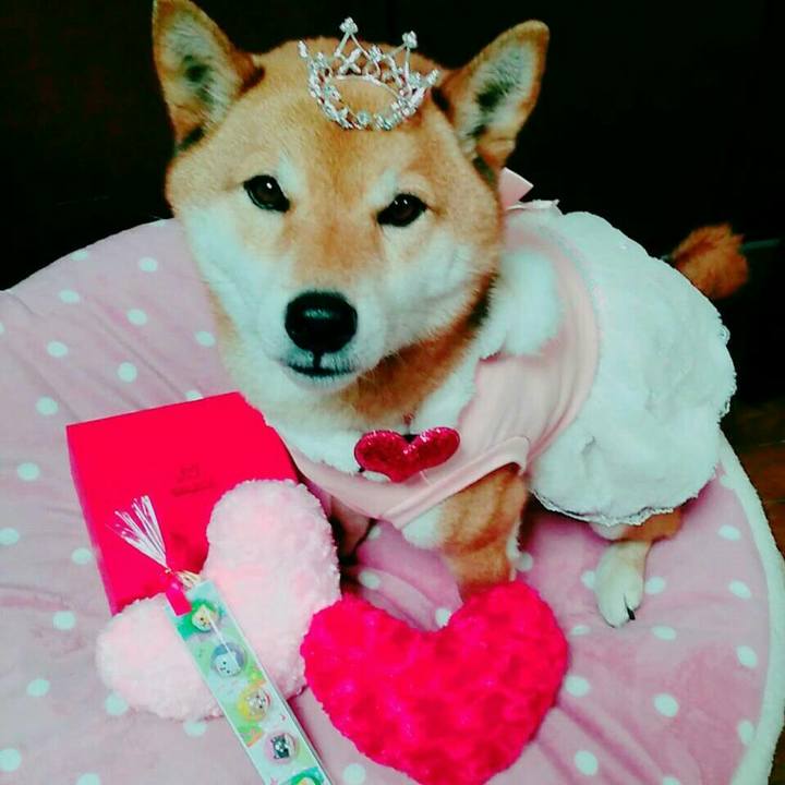 3eb1bcd5 a3cf 4576 9814 cee69c8aa017 1550102980550