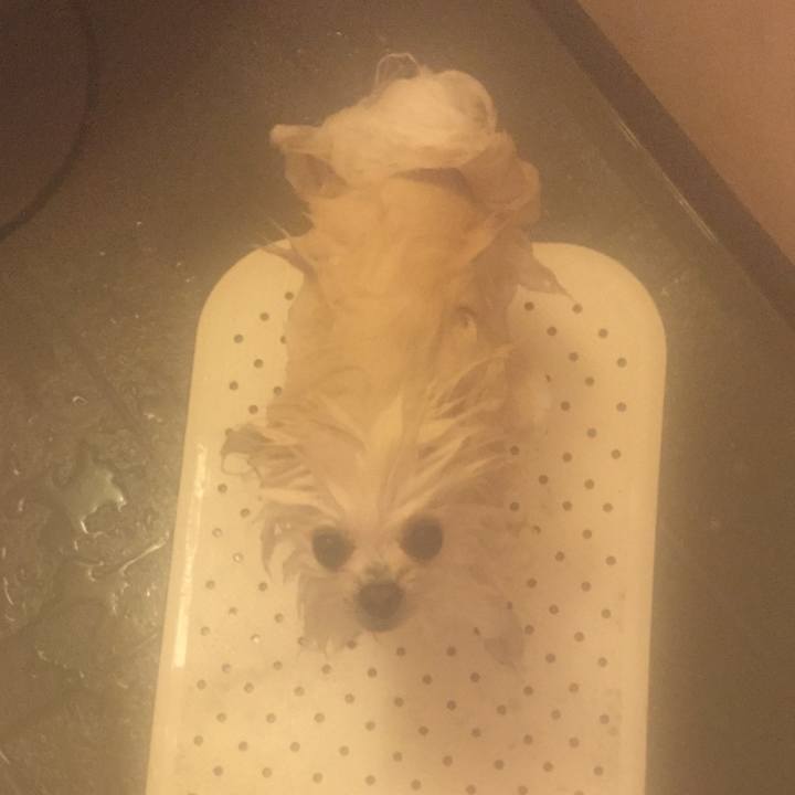 3eb1de73 e3c5 40a4 8b97 9ede6a3e24ce 1509073299628