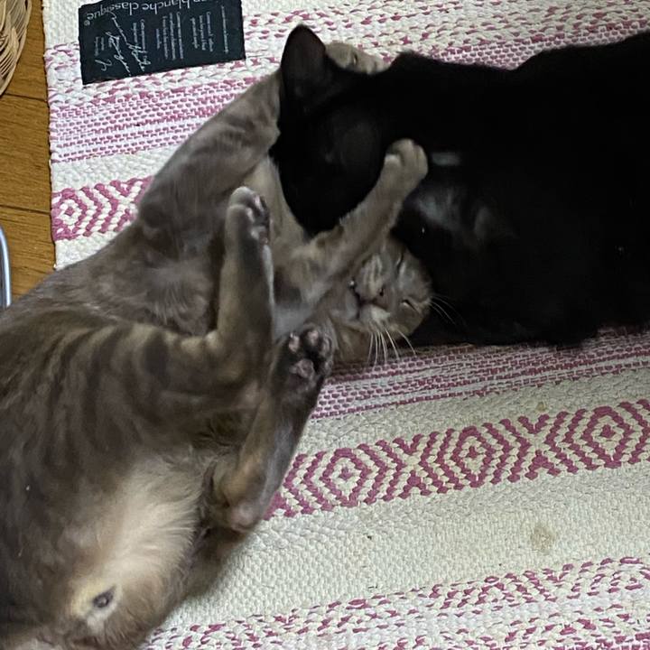 3eb209f1 0bf0 478f a539 578897148294 1582722850860