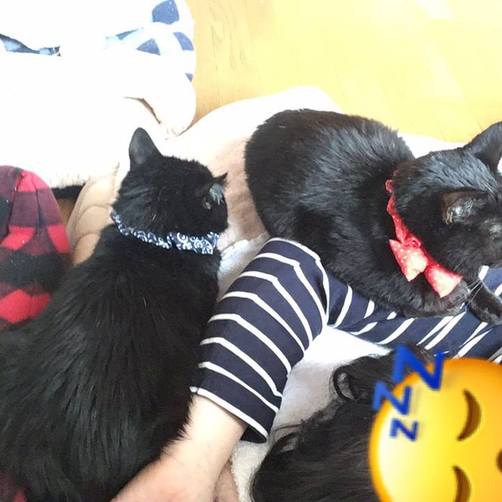 3eb22798 28ae 4879 b21e d5c187358624 1552779250525