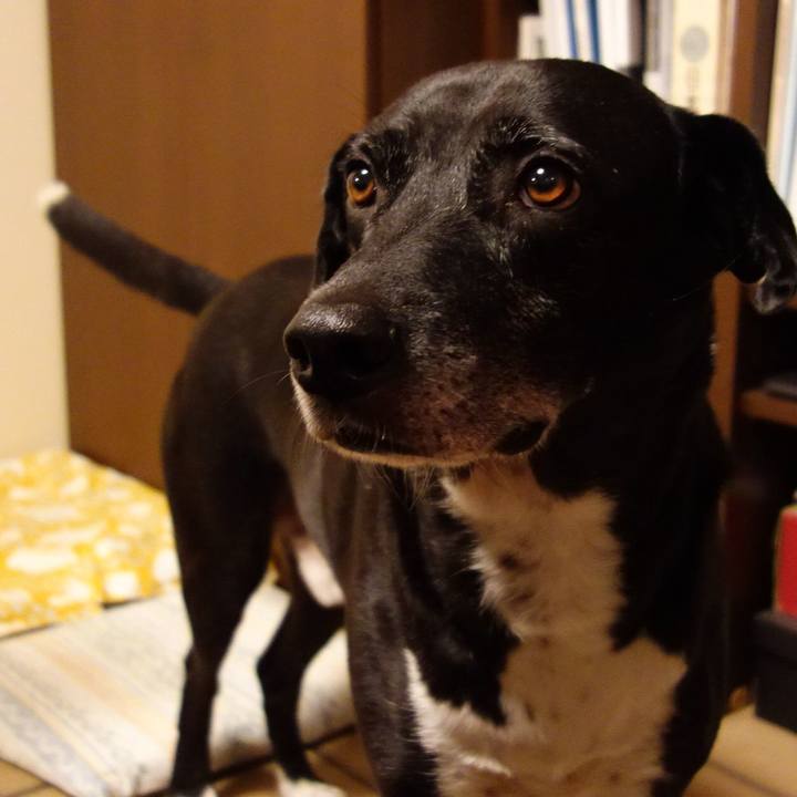 3eb26c80 0583 417a a356 8030b4e03ac4 1728297223813