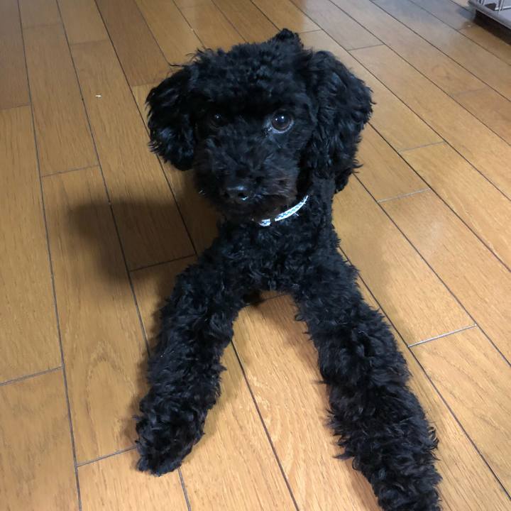 3eb26e6f 39ea 4ee0 a9cb c00c9e51088a 1517041925339