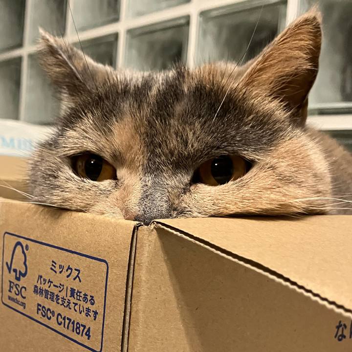 3eb2729c c136 4e89 bd27 7a17d7ac83d3 1760227773803