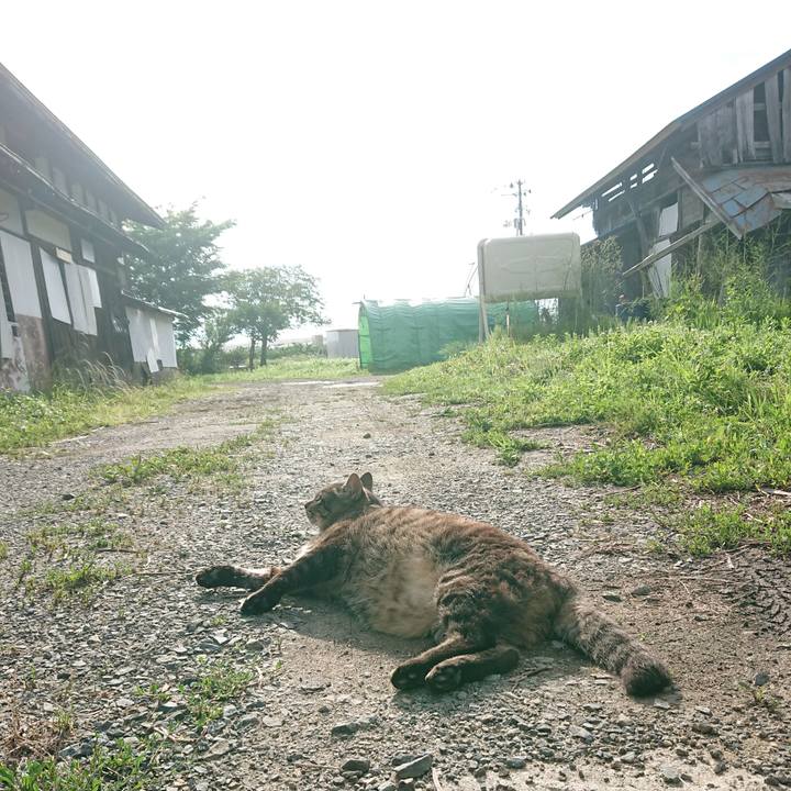 3eb28f5f ce14 413c 8e82 70df47373f47 1656455876986