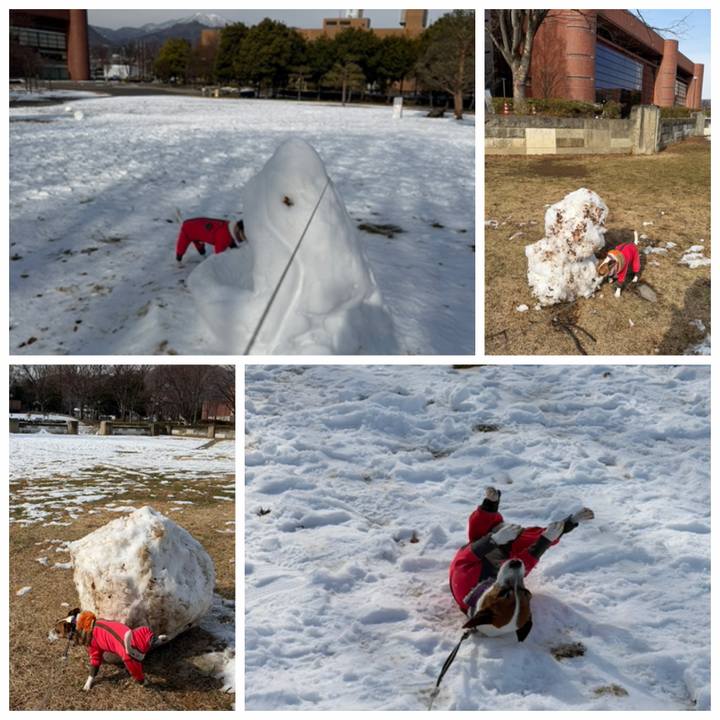 3eb29060 64a6 407b 8bde beb6dfb930ae 1768473565240