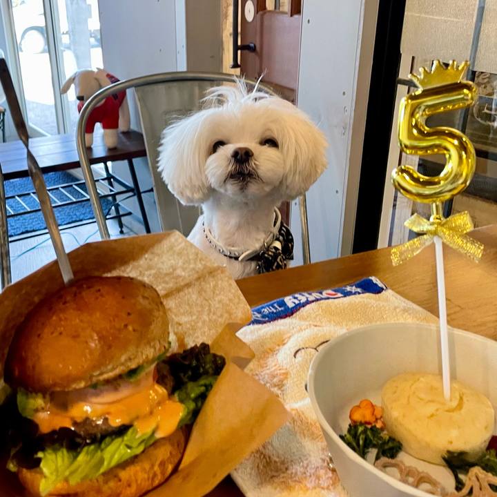 3eb2960b 7cd2 4511 8384 0c8e36c915ee 1763532345433