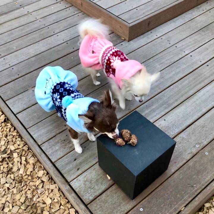 3eb2de40 4dbf 4ad4 937a 3548fd7e4d7e 1615423057963