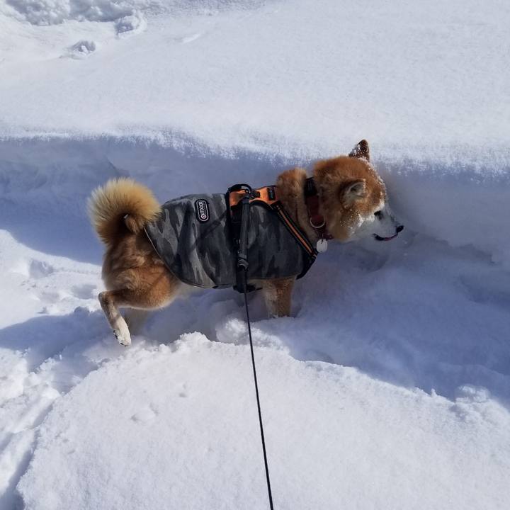 3eb2f449 9405 460a 8ba6 0f983b0655bf 1737258467544