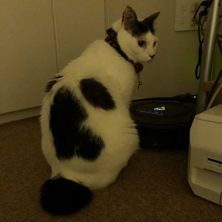 3eb2fbf7 ac0b 4e61 92f4 ea56e08bde96 1530450590401