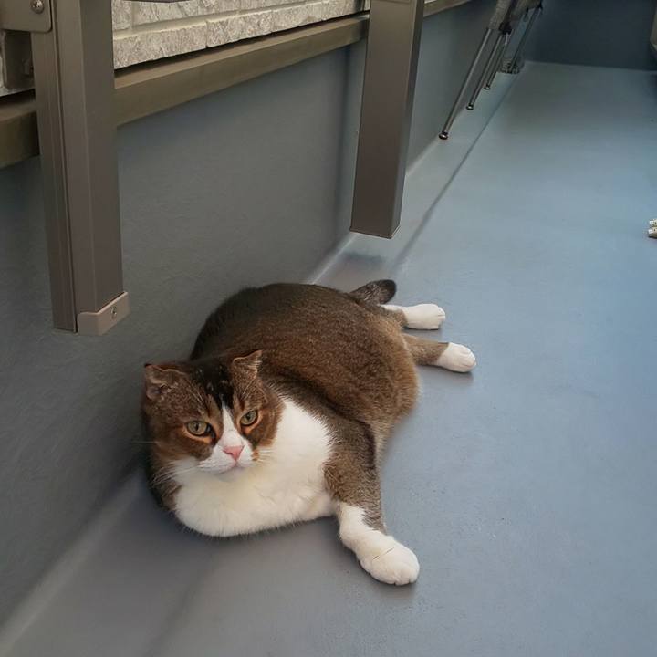 3eb30897 a354 486f 84cc 49db9a429e2d 1715412750386