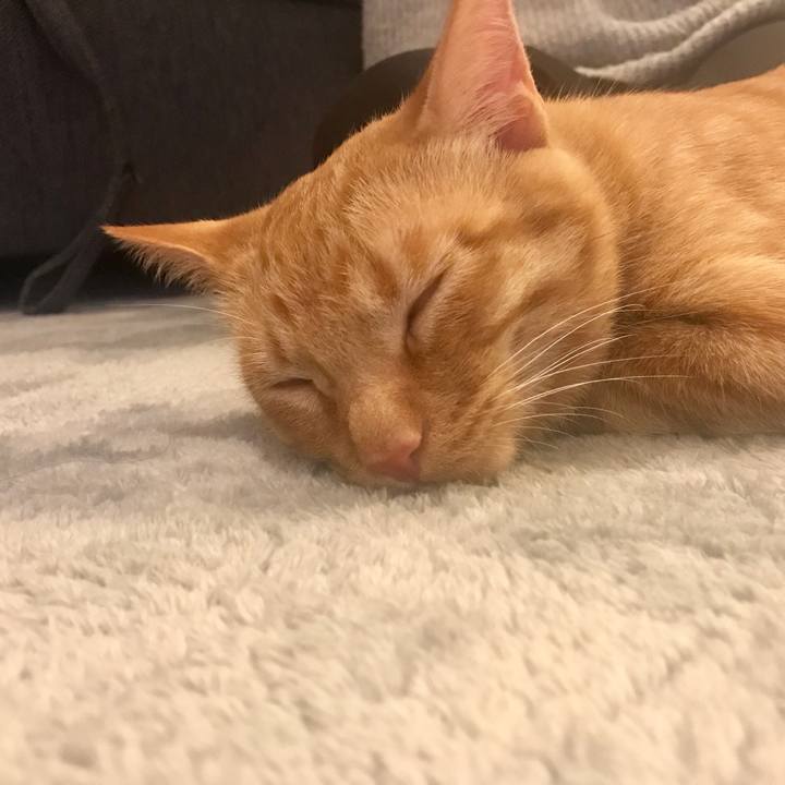 3eb349f9 247a 4da0 8d0a 92041f0dd2c5 1589372828589