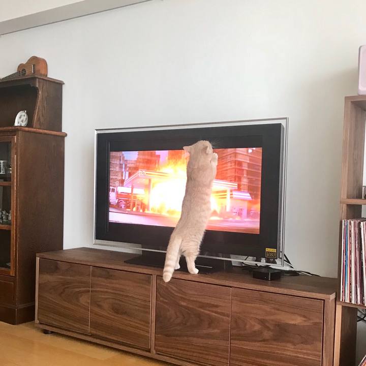 3eb34c56 cce1 4247 b670 a5d18ec924ab 1537756558075