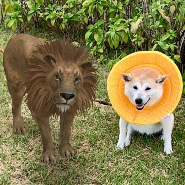 3eb377de 61c7 42dd a4cb c60f4d837251 1569844255944