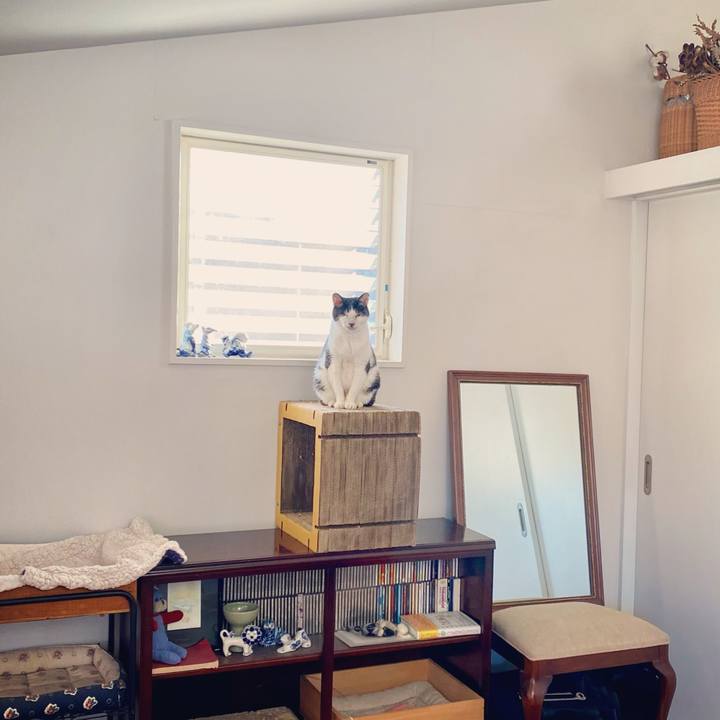 3eb396fe acef 4d03 8b89 816fe4873849 1610607577840