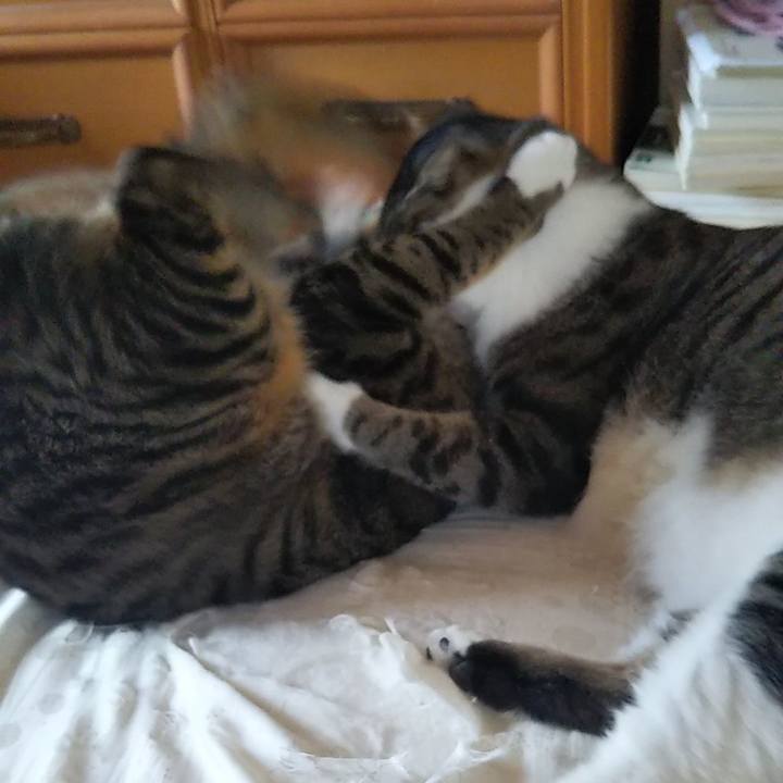 3eb39e8f b8ca 4c8f 8ab4 63be7bd9b26d 1708422719691