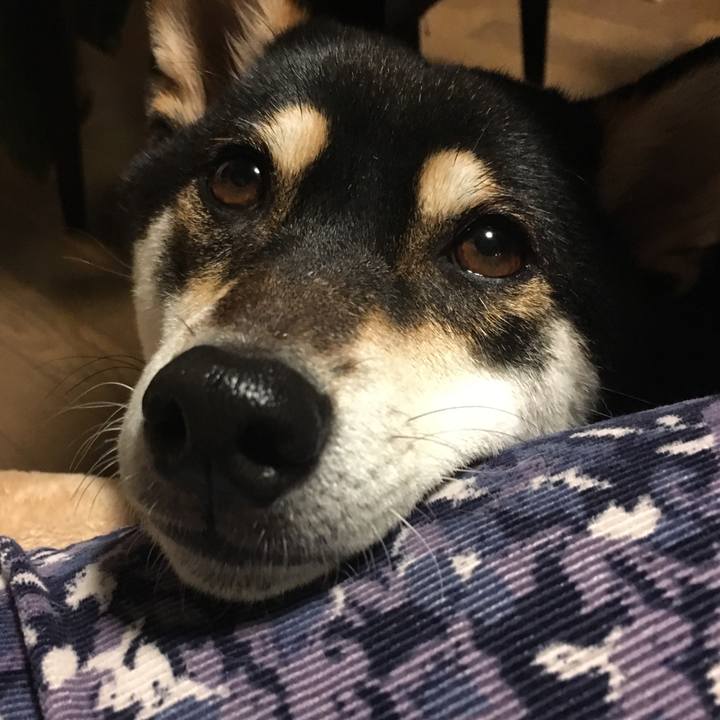 3eb3ae83 54a4 450a 9e9b 253a3af8314d 1573557232700