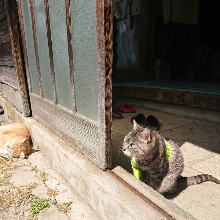 3eb3c193 be12 4e6e 80ab eec976bbd7ff 1586398996339