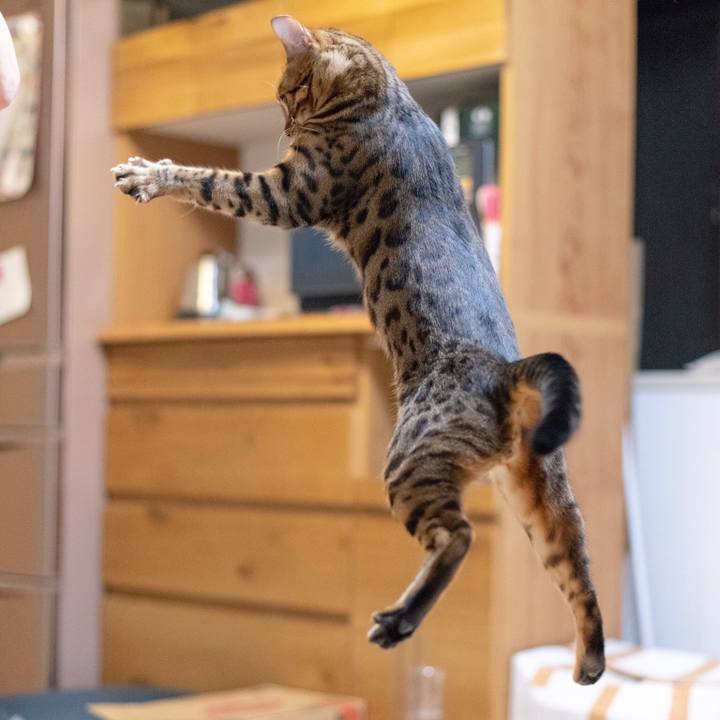 3eb3d411 1efc 452e a330 963a6cfcd6b6 1530889264116