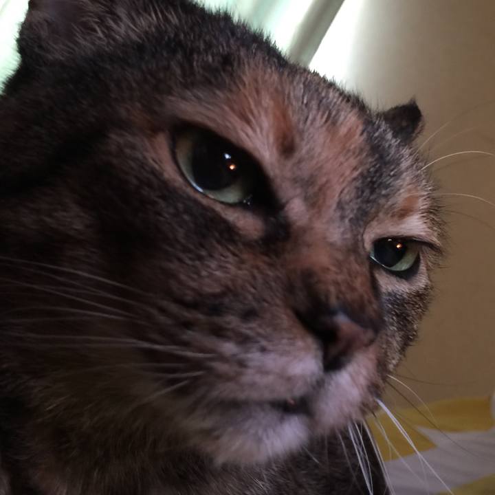 3eb40eae ce5c 4838 bb59 0e0b16332a02 1526817714010