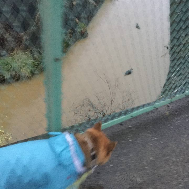 3eb414ca 9d65 45cb b0da 27f750eff04e 1611393854782