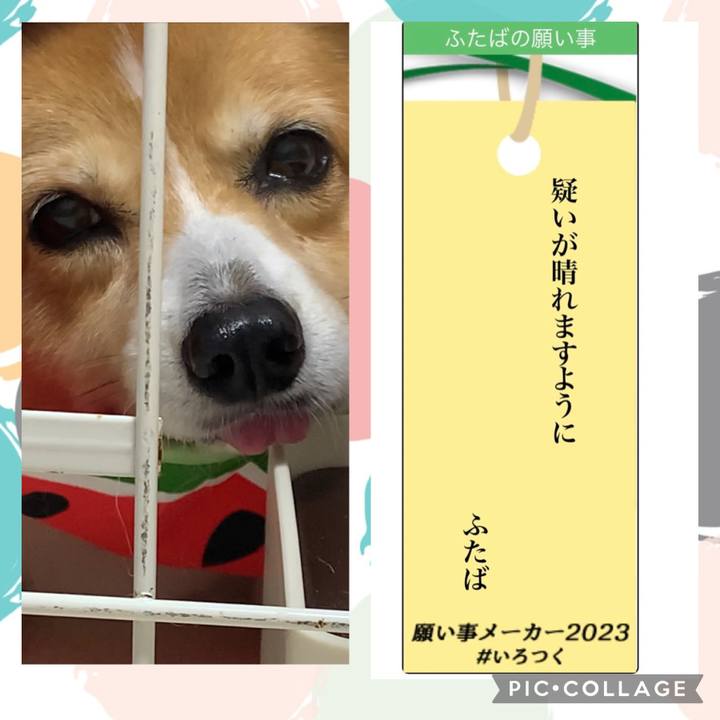 3eb43a70 96fa 43ee 9b3f f83c2efa9fea 1688733822354