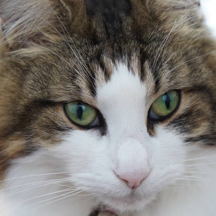 3eb47506 9df2 4155 ba50 ed35d5d9be9b 1640492360566