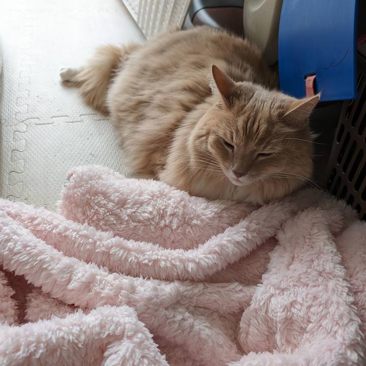 3eb47ae9 8356 4b0a bf66 617237c8bebd 1708169647871