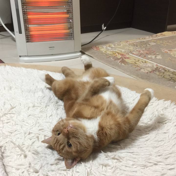 3eb4b706 87c1 49c3 a0b6 f15ae2b29632 1585739847183