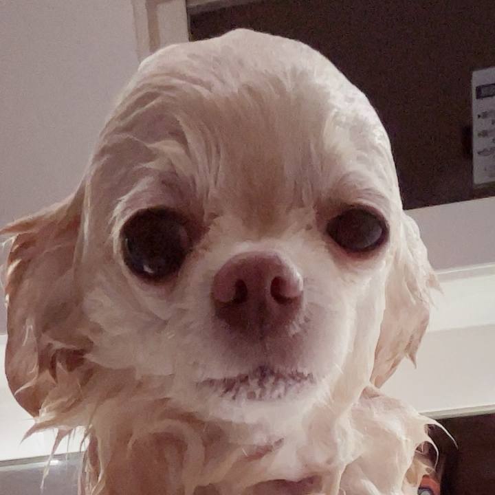 3eb50b25 86f6 48c4 b477 01886d8d6417 1752752766826