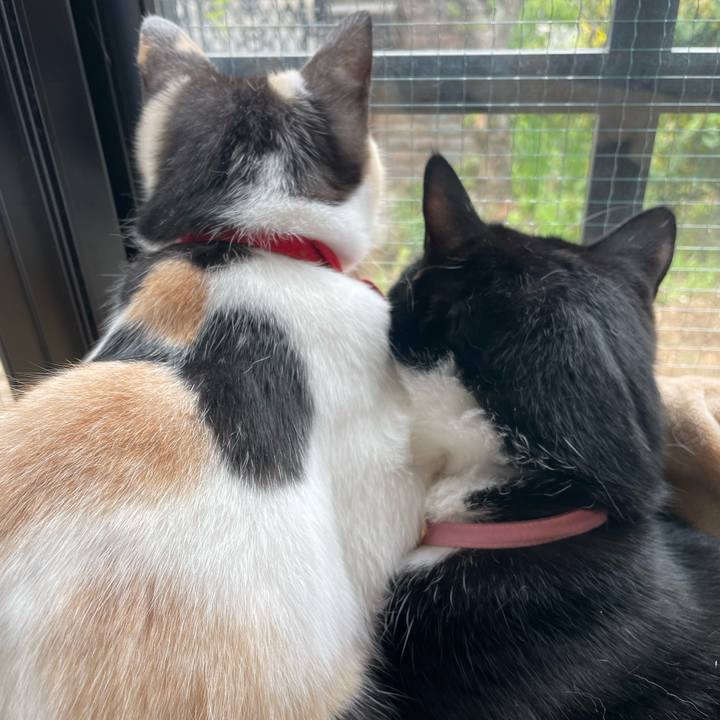 3eb52fbe fc17 4da2 949a 6d150f198c3f 1712887802602