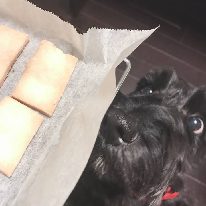 3eb57b77 ff84 449a 9725 49a6fde9b4bf 1554302817209