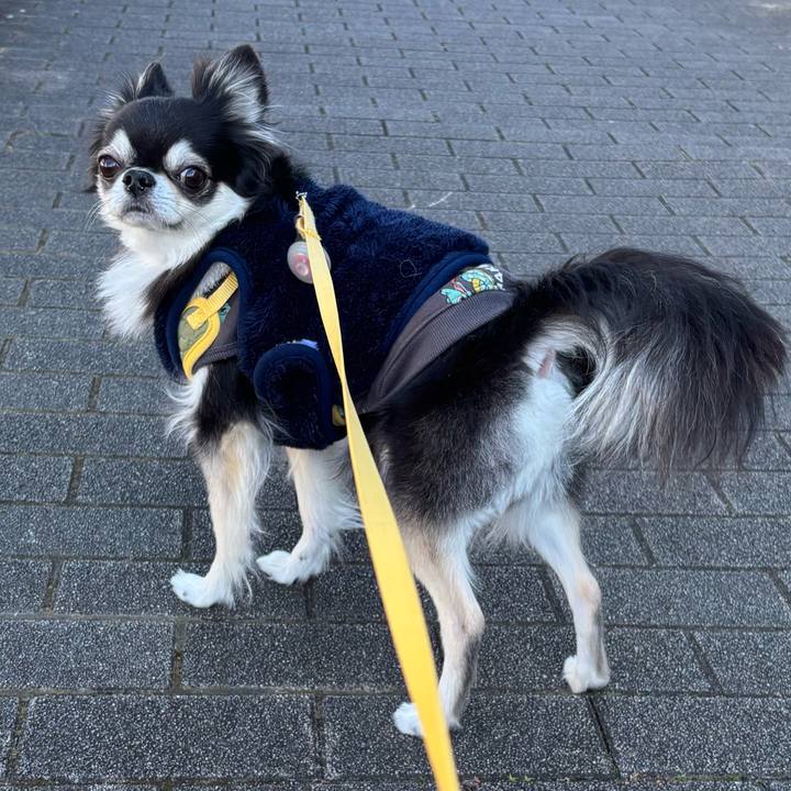 3eb57fb4 12c5 4781 a231 d4bafc87ea60 1735836233497