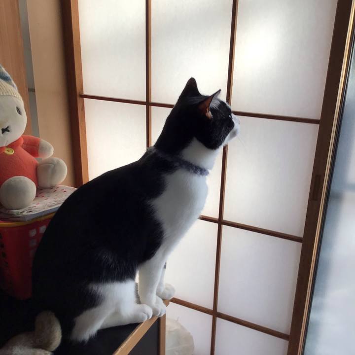 3eb583b2 cdf5 4e4a 843c a9a925acd100 1641080495478