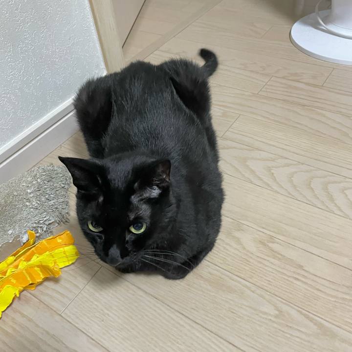 3eb5ba15 6e2d 4c96 b52e 0efd909e7782 1721396892300