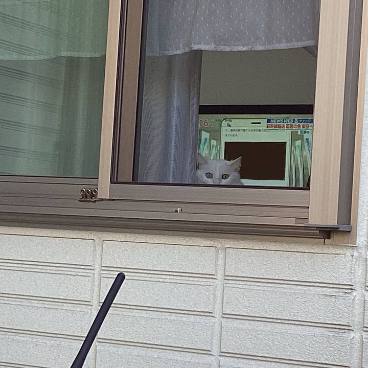 3eb5c77f a30a 457a 9e69 99c2000b96e2 1712007879096