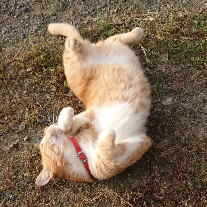 3eb5dd1d 2e9e 4376 81a9 40af42d2ba77 1569633755228